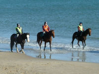 Horse Riding